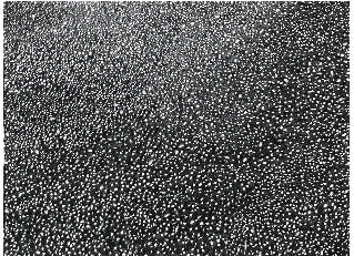 Graphite